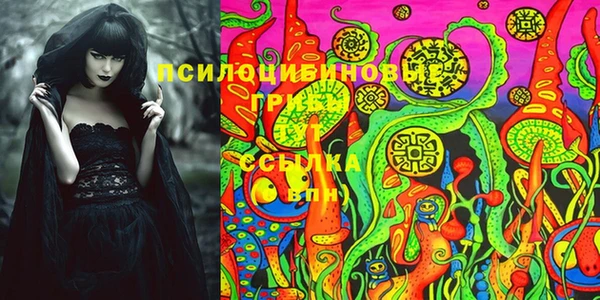 дмт Бугульма